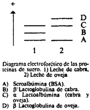 Imagen: /datos/imagenes/disp/1991/260/26241_005.png