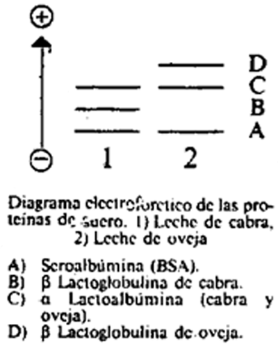 Imagen: /datos/imagenes/disp/1991/260/26241_013.png