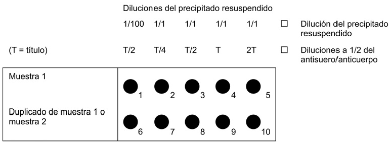 Imagen: /datos/imagenes/disp/2007/74/06421_5386692_image4.png