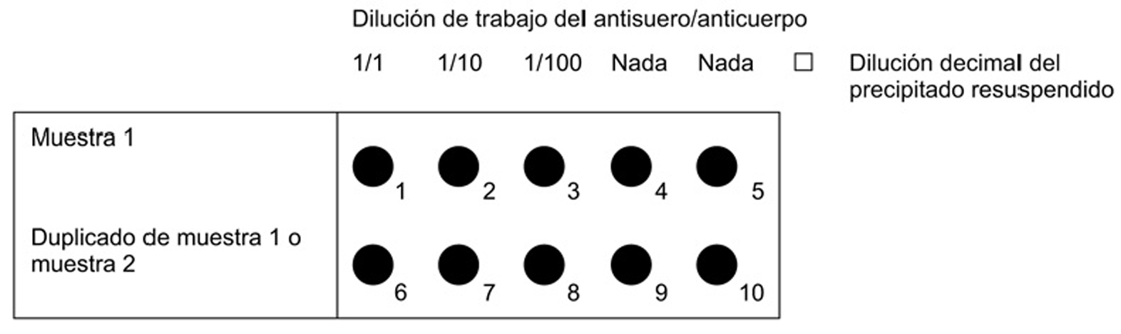 Imagen: /datos/imagenes/disp/2007/74/06421_5386692_image5.png