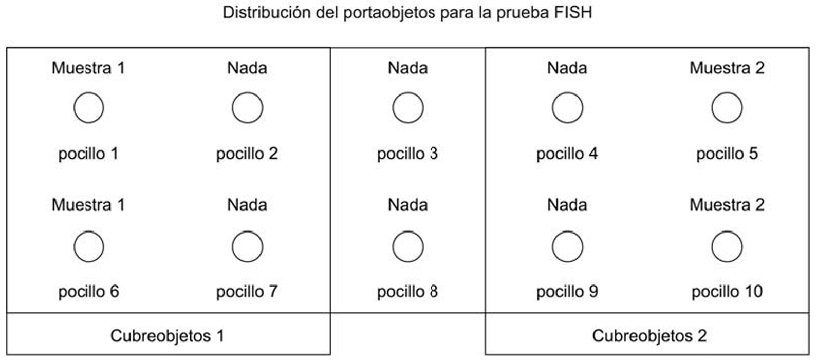 Imagen: /datos/imagenes/disp/2007/74/06421_5386692_image6.png