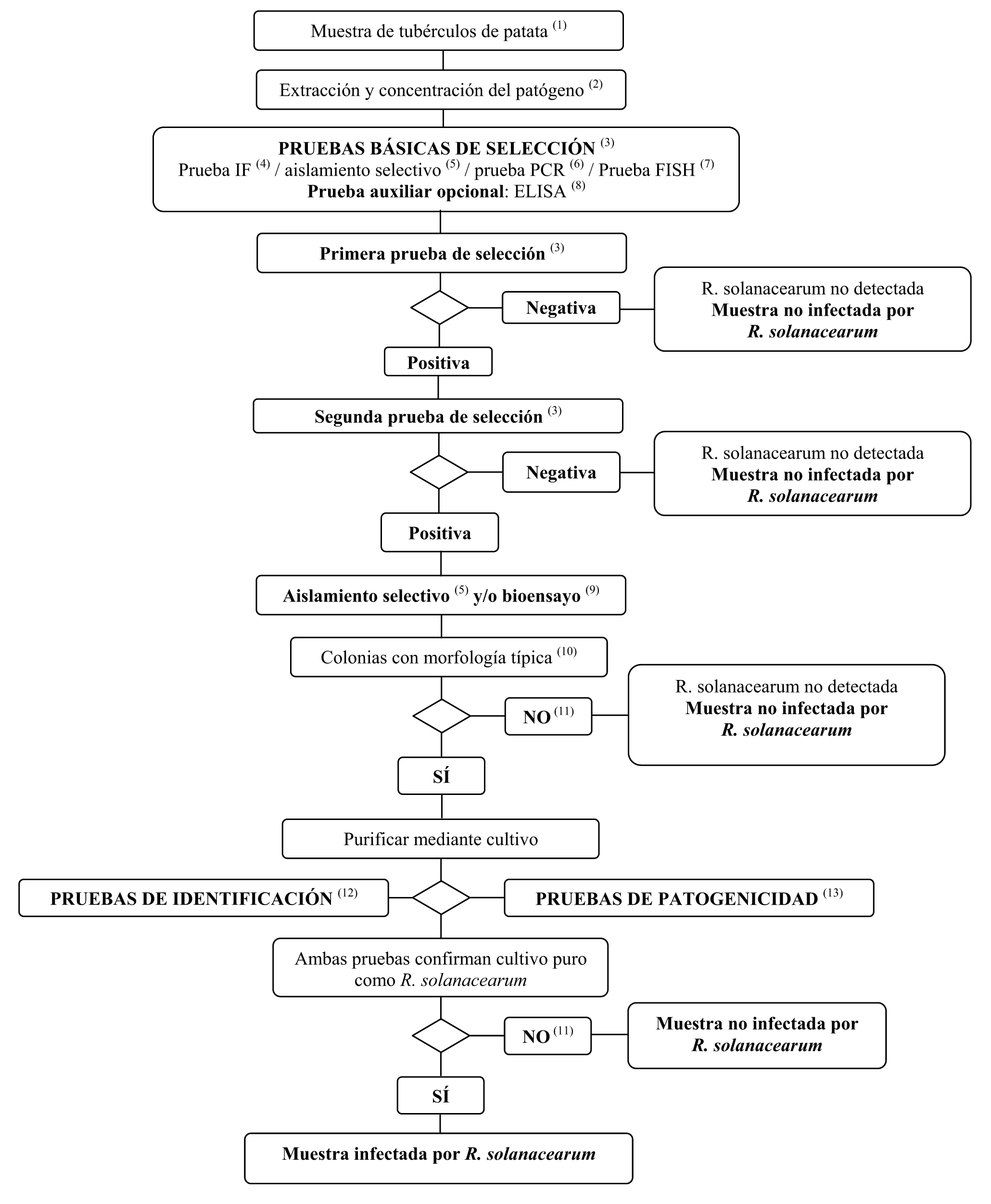 Imagen: /datos/imagenes/disp/2007/74/06422_5370424_image3.png