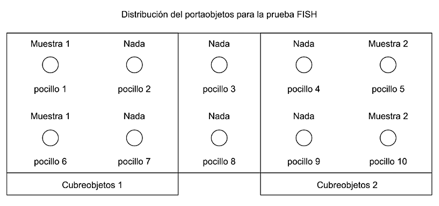 Imagen: /datos/imagenes/disp/2007/74/06422_5370424_image9.png