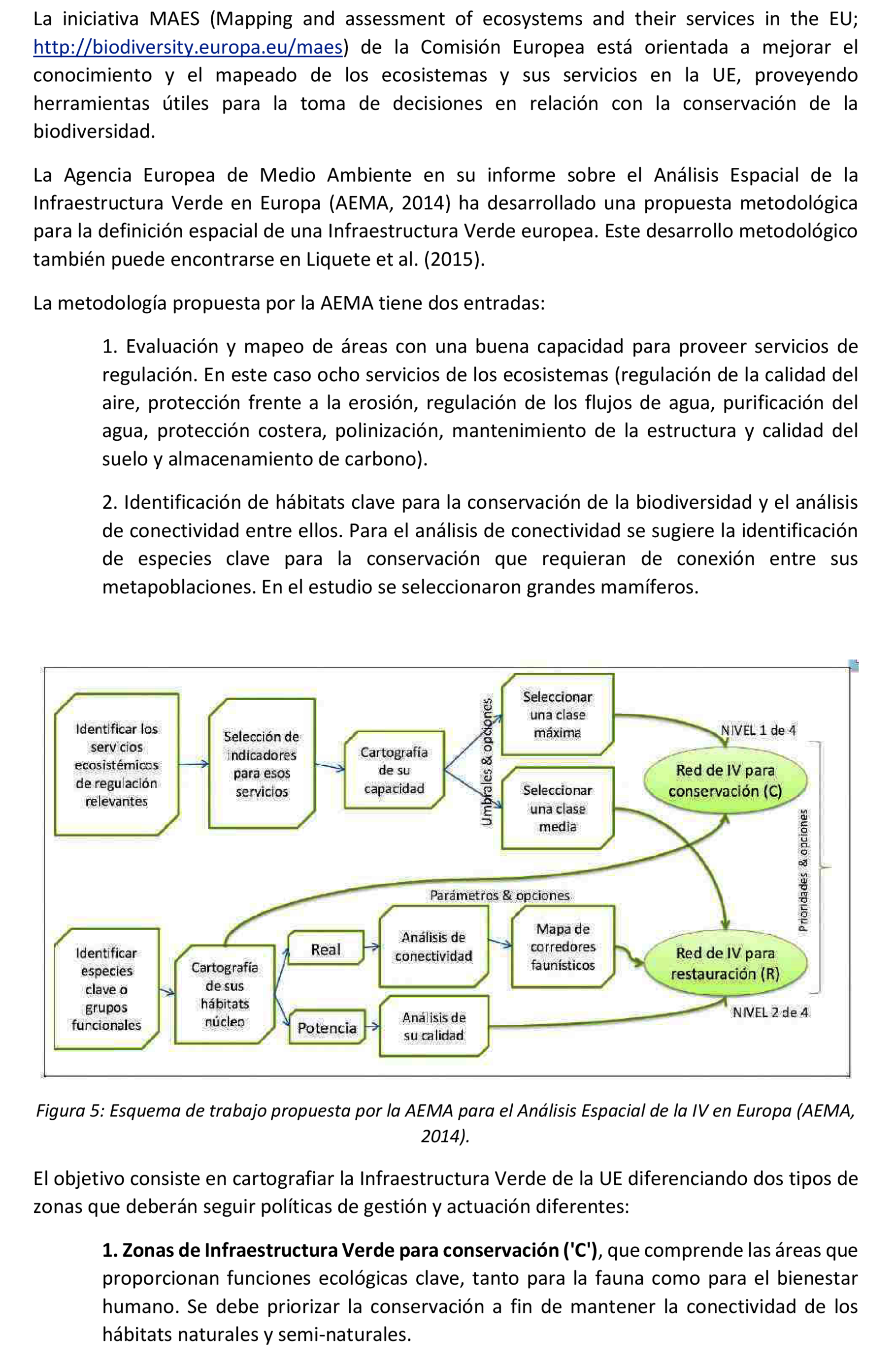 Imagen: /datos/imagenes/disp/2021/166/11614_9992790_87.png